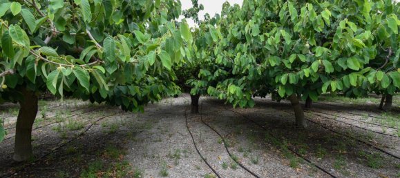 2 bedrooms House in Granada, Spain No. 186801 11