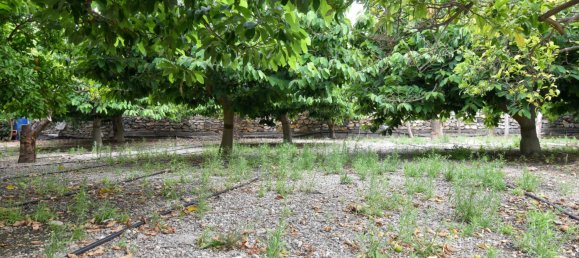 2 bedrooms House in Granada, Spain No. 186801 13