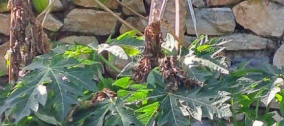 2 bedrooms House in Granada, Spain No. 186801 26