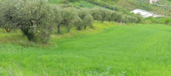 Terreno en Colonnella, Italy 14500 m² No. 156731 3