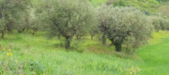 Terreno en Colonnella, Italy 14500 m² No. 156731 11