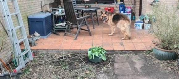 Adosado de 4 dormitorios en Steinfurt, Germany No. 228426 15