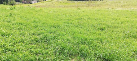 Земельный участок в Гамлиц, Австрия № 75691 5