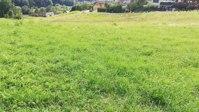 Земельный участок в Гамлиц, Австрия № 75691