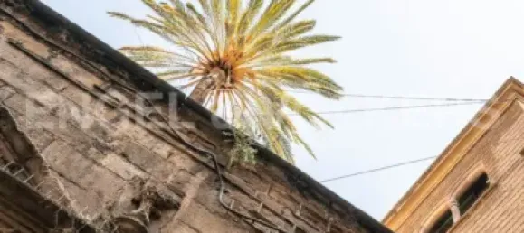 2 bedrooms Apartment in Ciutat Vella, Spain No. 112741 8