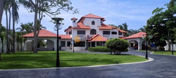 1000m² Cafe / restaurant in Pattaya, Thailand No. 22853 15