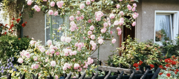 5 bedrooms House in Uelzen, Germany No. 241089 3