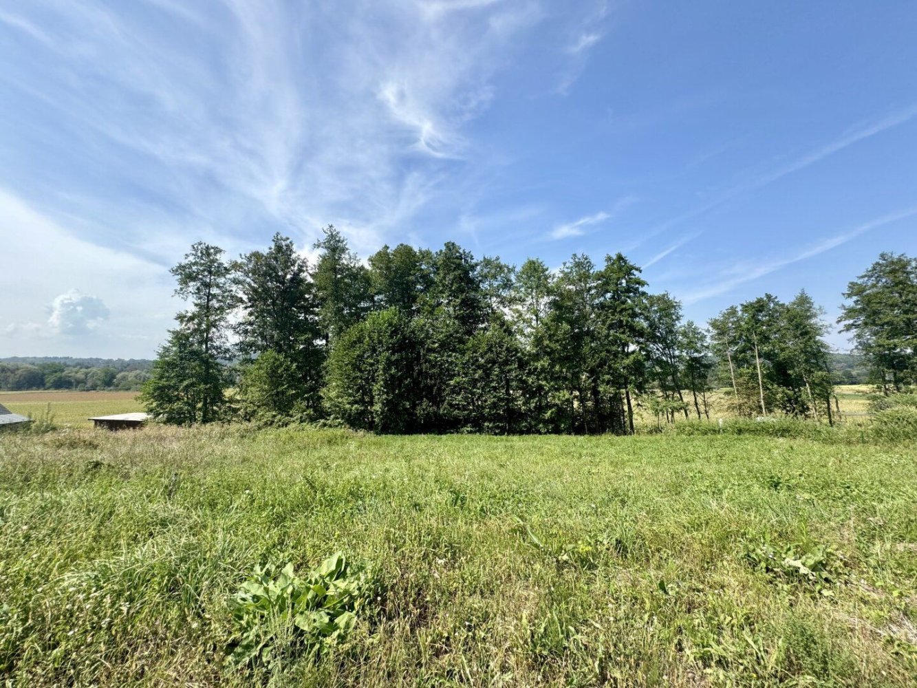 Terrain à Leibnitz, Austria No. 132243