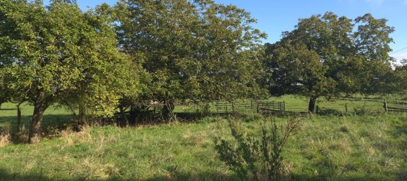 3 غرف نوم منزل في Saleux, France رقم 231283 15