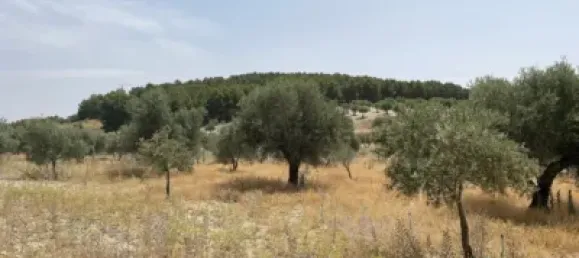 Terreno en Mejorada del Campo, Spain No. 139804 8