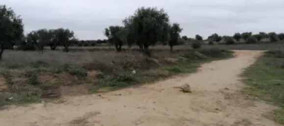Terreno en Mejorada del Campo, Spain No. 139804 9