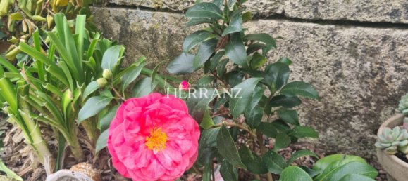 Casa de 4 dormitorios en Puynormand, France No. 101968 20