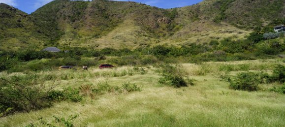 Hotel in Saint George Basseterre, Saint Kitts and Nevis 2787.09m², Nr. 82 8