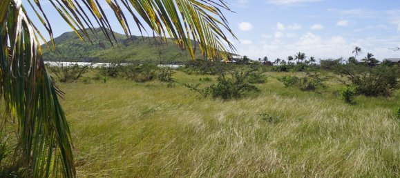 Hotel in Saint George Basseterre, Saint Kitts and Nevis 2787.09m², Nr. 82 9