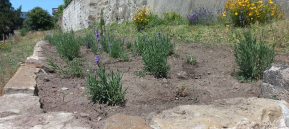 Terreno en Dresden, Germany No. 234272 4