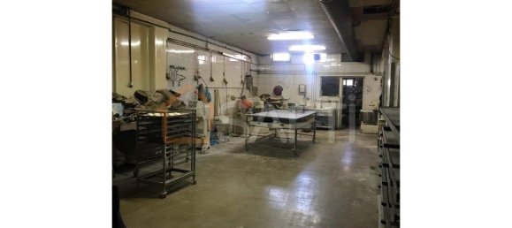 Коммерческая недвижимость 500м² в Канелаш, Португалия № 47815 8