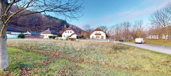 Grundstück in Alland, Austria, Nr. 37096 3