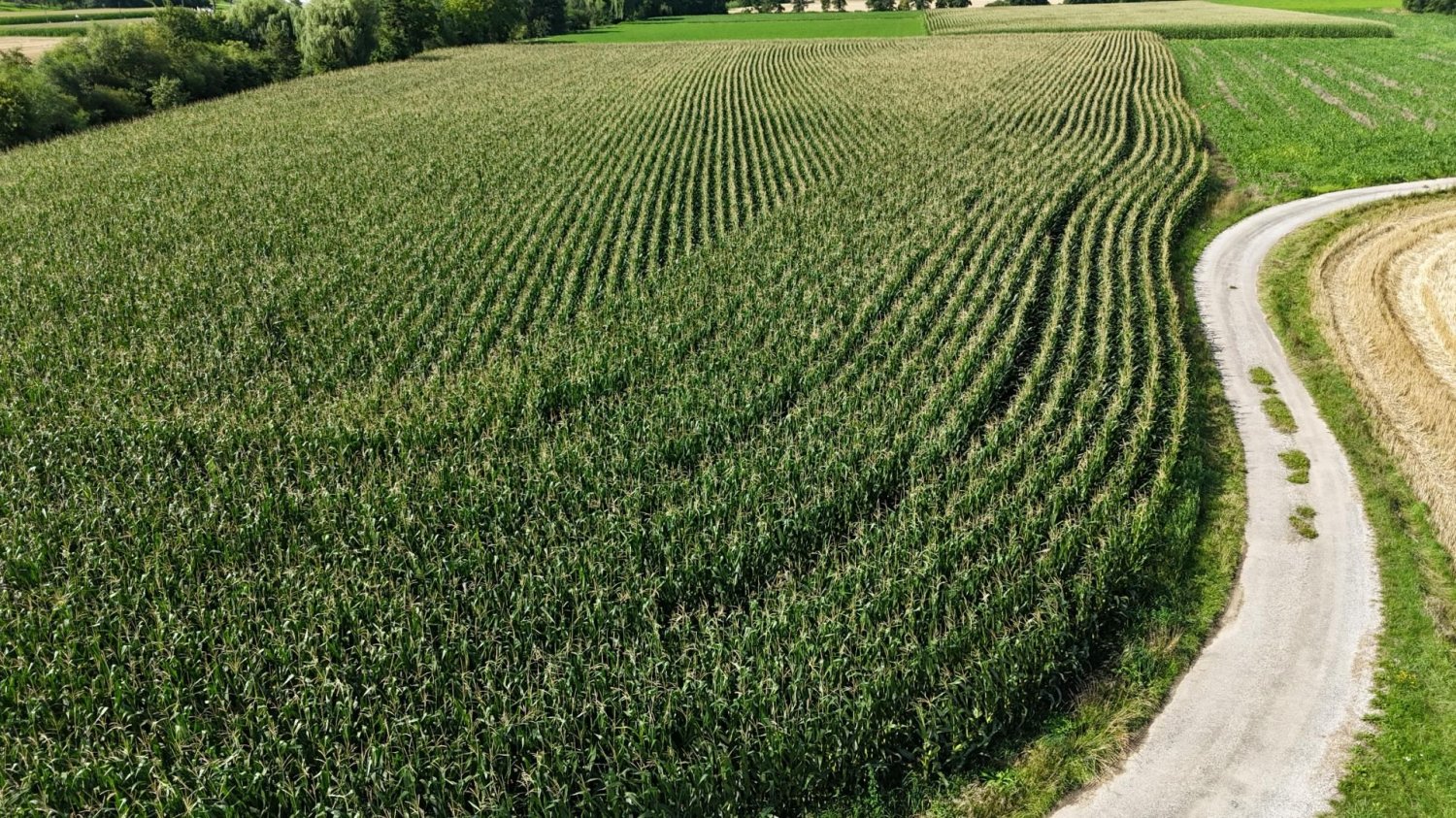  Commercial property in St. Leonhard am Forst, Austria No. 231808