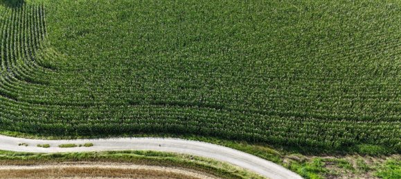  Commercial property in St. Leonhard am Forst, Austria No. 231808 3