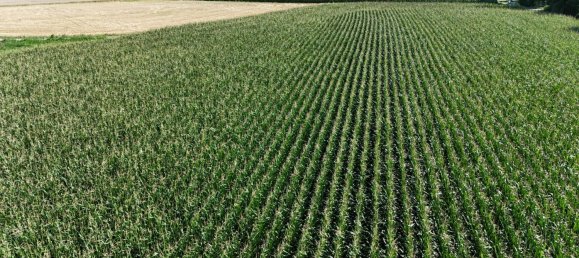  Commercial property in St. Leonhard am Forst, Austria No. 231808 2