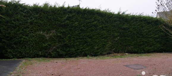 Casa de 3 dormitorios en Le Poinconnet, France No. 234534 6