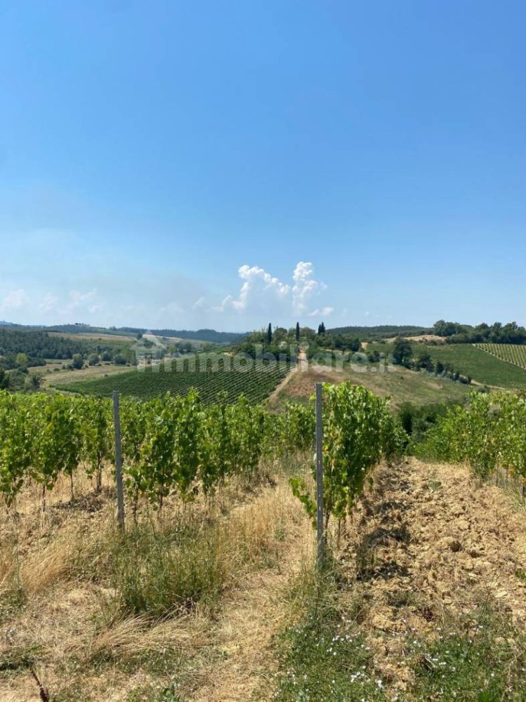 8 bedrooms House in Cerreto Guidi, Italy No. 287331