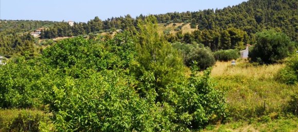 3 bedrooms Commercial property in Chalkidiki, Greece No. 4750 26