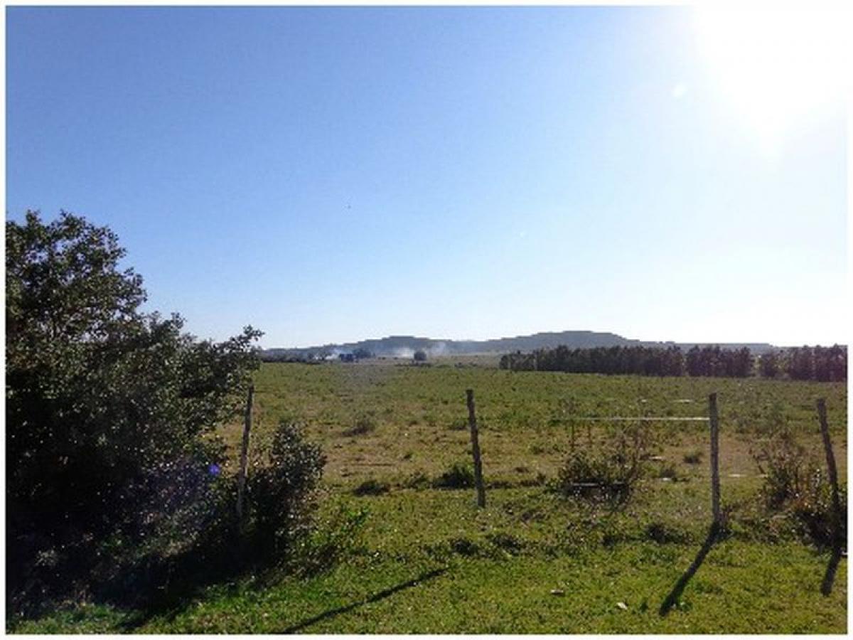 Bauernhof in Maldonado, Uruguay, Nr. 14895