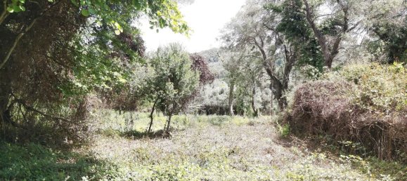  قطعة أرض في Corfu, Greece 700متر مربع رقم 93652 3