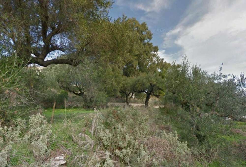 Land for sale in Zakynthos, Ionian Islands, Peloponnese, Western Greece and the Ionian, Greece № 794