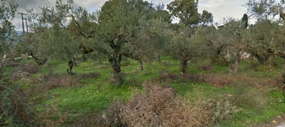 Land for sale in Zakynthos, Ionian Islands, Peloponnese, Western Greece and the Ionian, Greece № 794 10