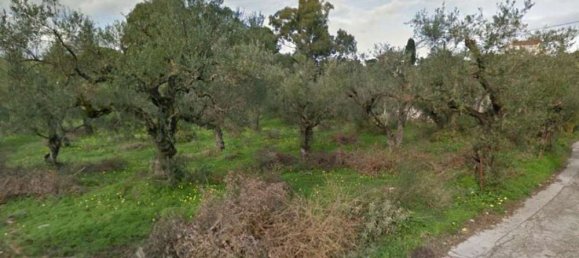 Land for sale in Zakynthos, Ionian Islands, Peloponnese, Western Greece and the Ionian, Greece № 794 11