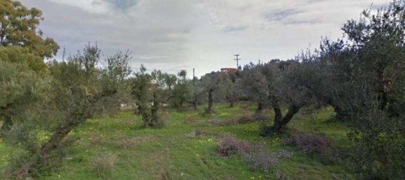 Land for sale in Zakynthos, Ionian Islands, Peloponnese, Western Greece and the Ionian, Greece № 794 4