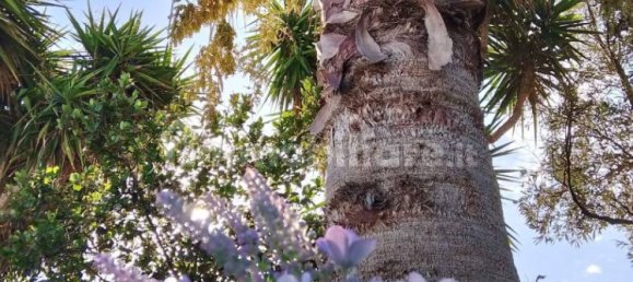 1 bedroom Apartment in Sardinia, Italy No. 275118 8