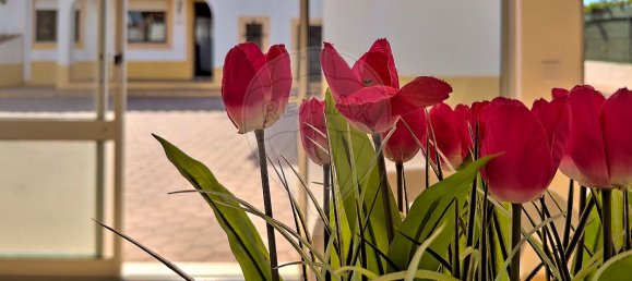 Casa de 3 dormitorios en Albufeira, Portugal No. 21903 37