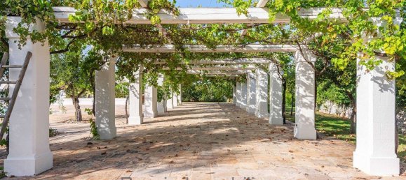 25-Zimmer Haus in Polignano a Mare, Italy, Nr. 175835 29