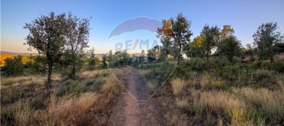 19960m² Land in Covilha, Portugal No. 70840 15