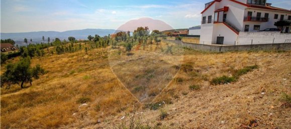 19960m² Land in Covilha, Portugal No. 70840 3