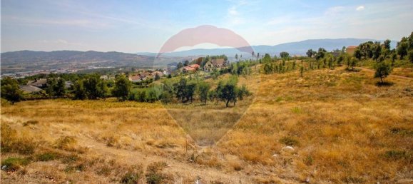 19960m² Land in Covilha, Portugal No. 70840 7