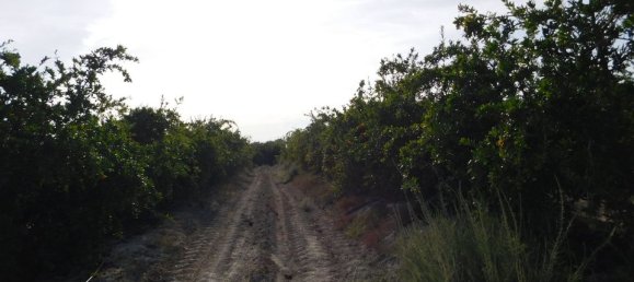 Terrain à Torremendo, Spain No. 189145 8