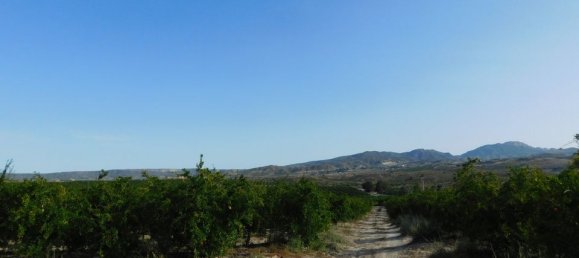 Terrain à Torremendo, Spain No. 189145 13