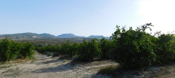 Terrain à Torremendo, Spain No. 189145 10
