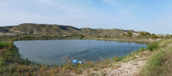 Terrain à Torremendo, Spain No. 189145 23