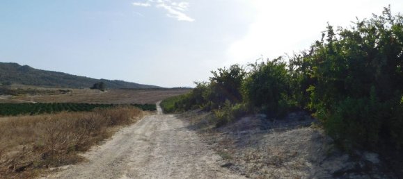 Terrain à Torremendo, Spain No. 189145 7