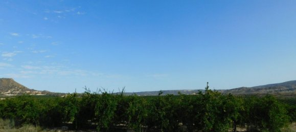 Terrain à Torremendo, Spain No. 189145 11