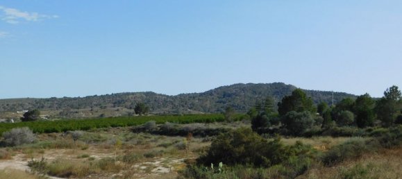Terrain à Torremendo, Spain No. 189145 4