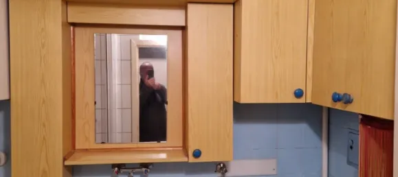 استوديو في Liebenau, Austria رقم 134192 3