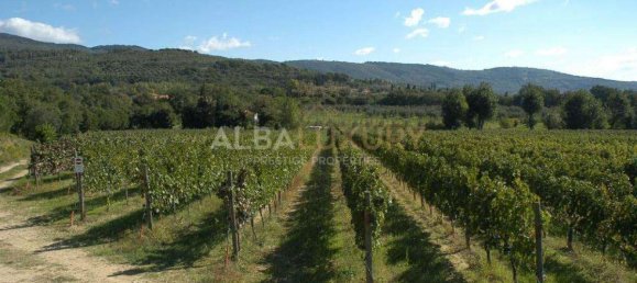 Villa T15 em Tuoro sul Trasimeno, Italy N.º 485 8