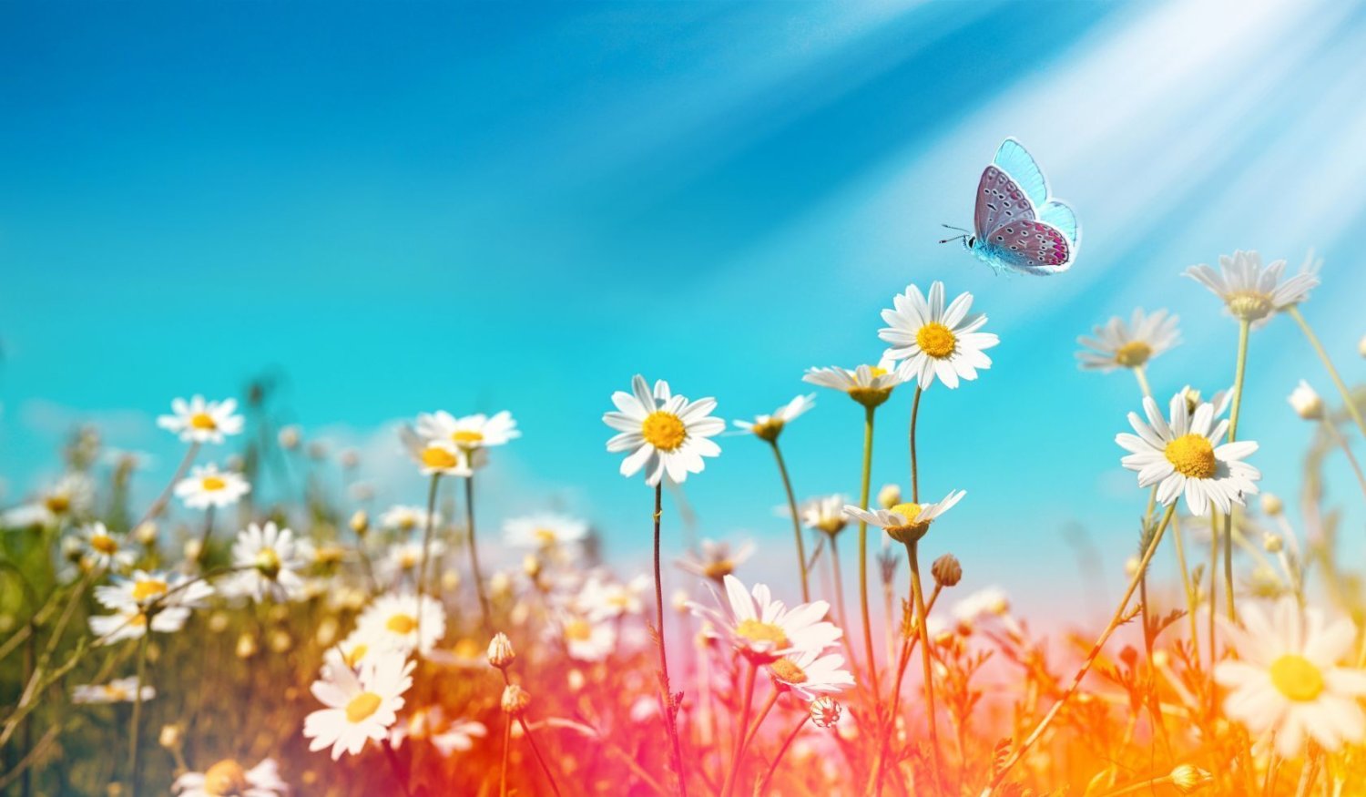 Grundstück in Saint-Estephe, France, Nr. 106906