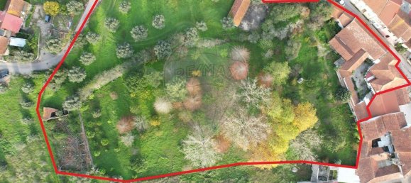 2 bedrooms House in Barcouco, Portugal No. 170813 3